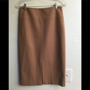 Ann Taylor High Waisted Stretch Pink Pencil Skirt